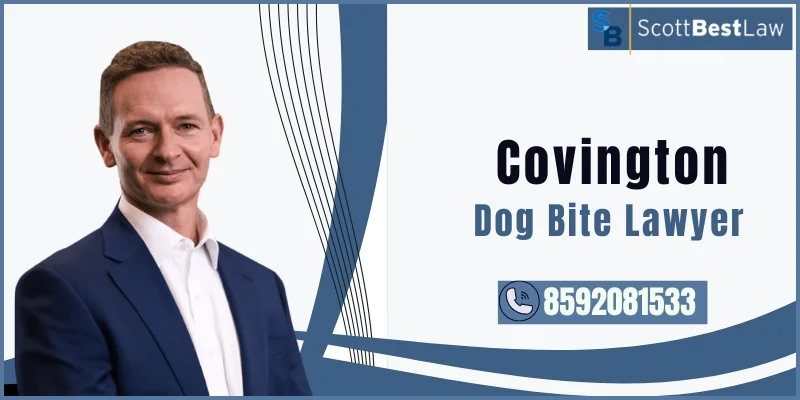 Covington Dog Bite Lawyer-image